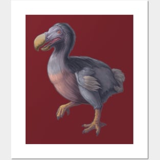 Raphus cucullatus - The Dodo Posters and Art